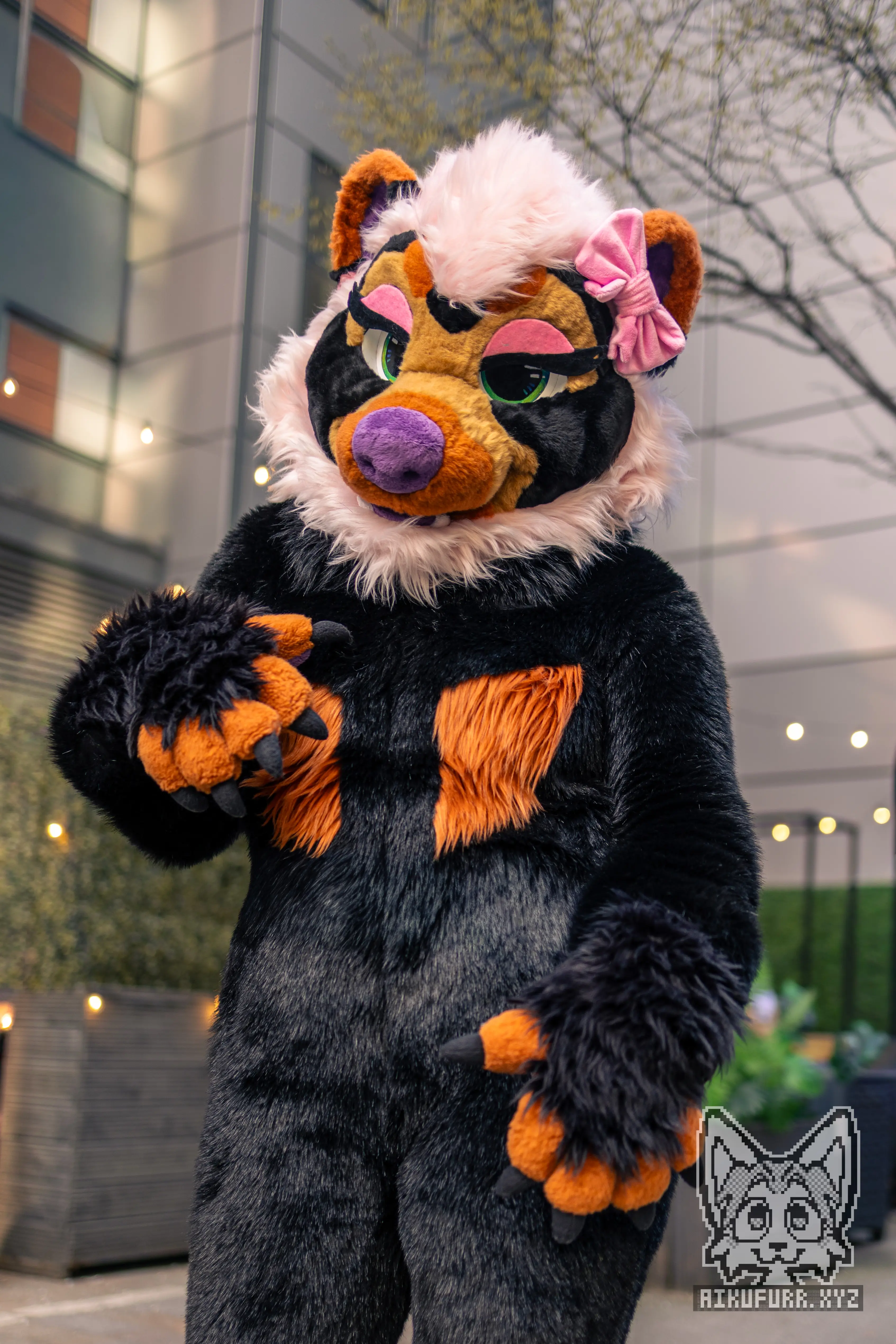 Suiting 1