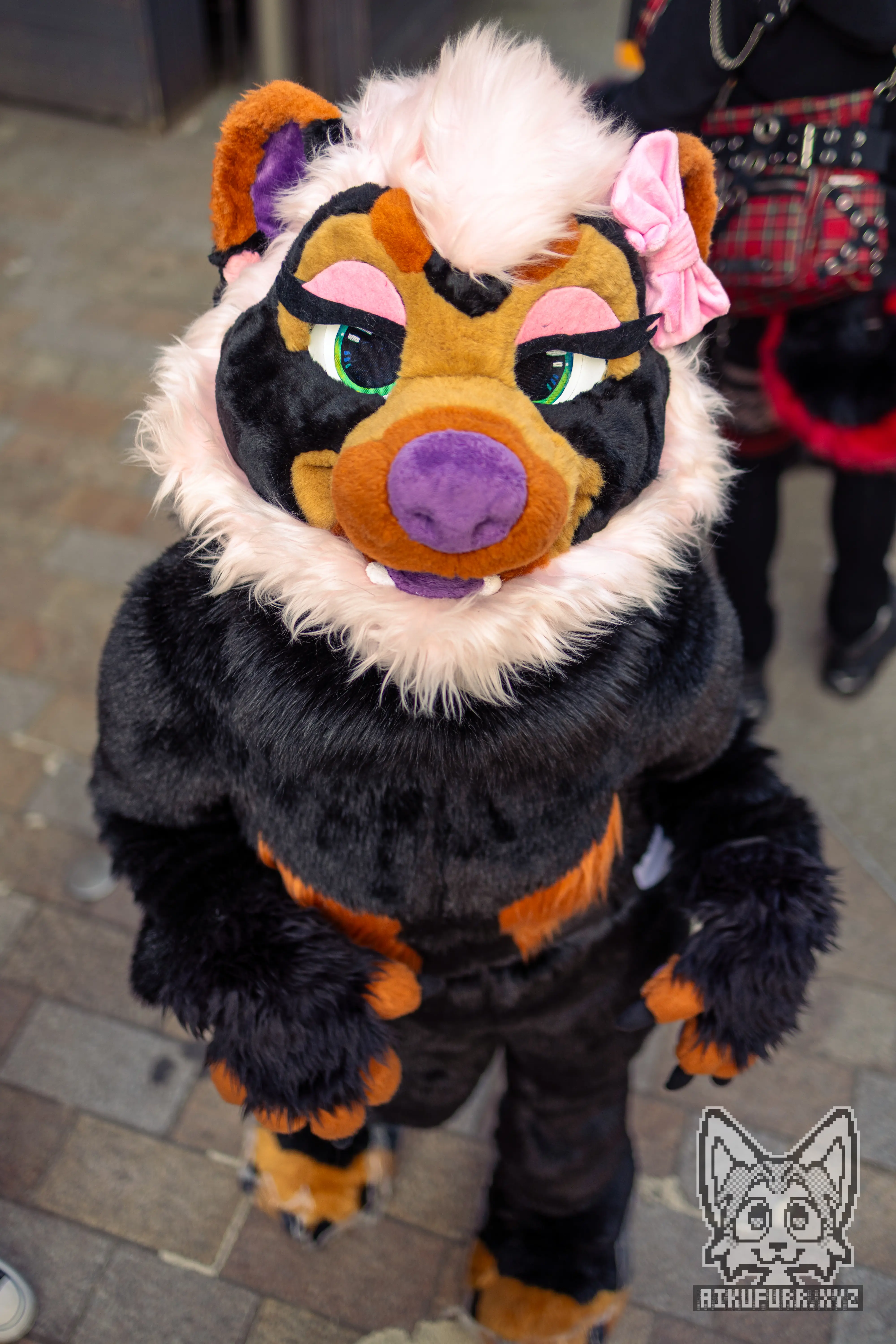 Suiting 2