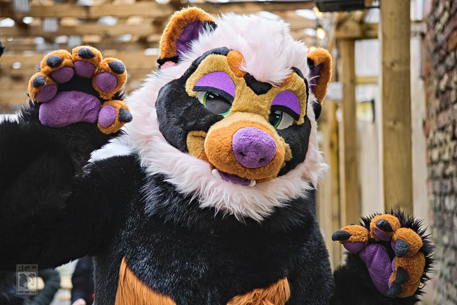 Suiting 4