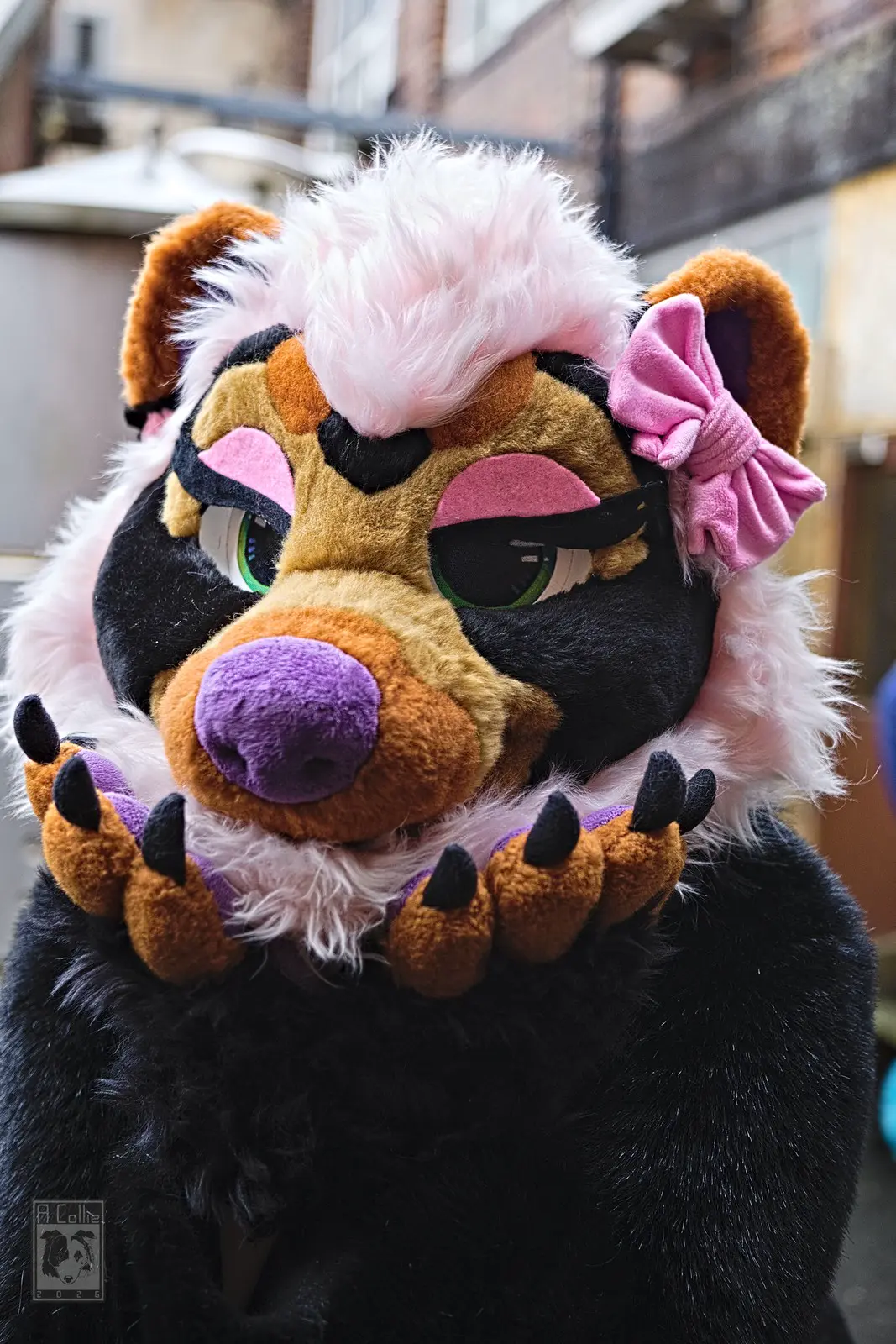 Suiting 5