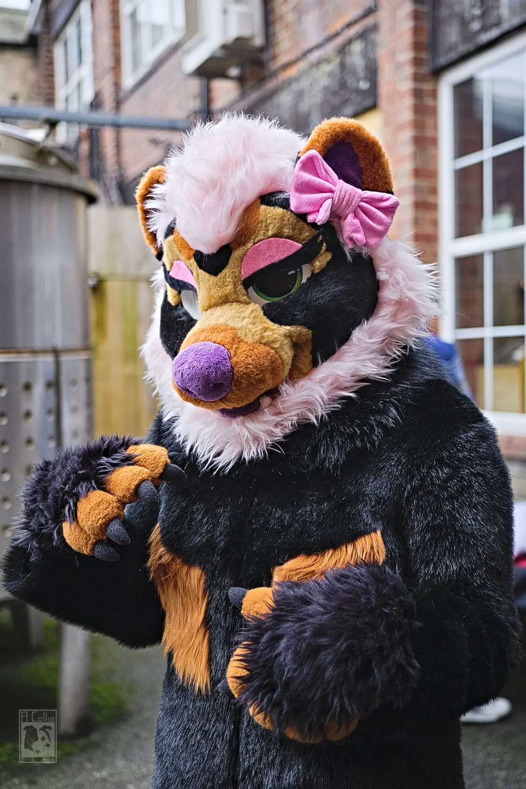 Suiting 6